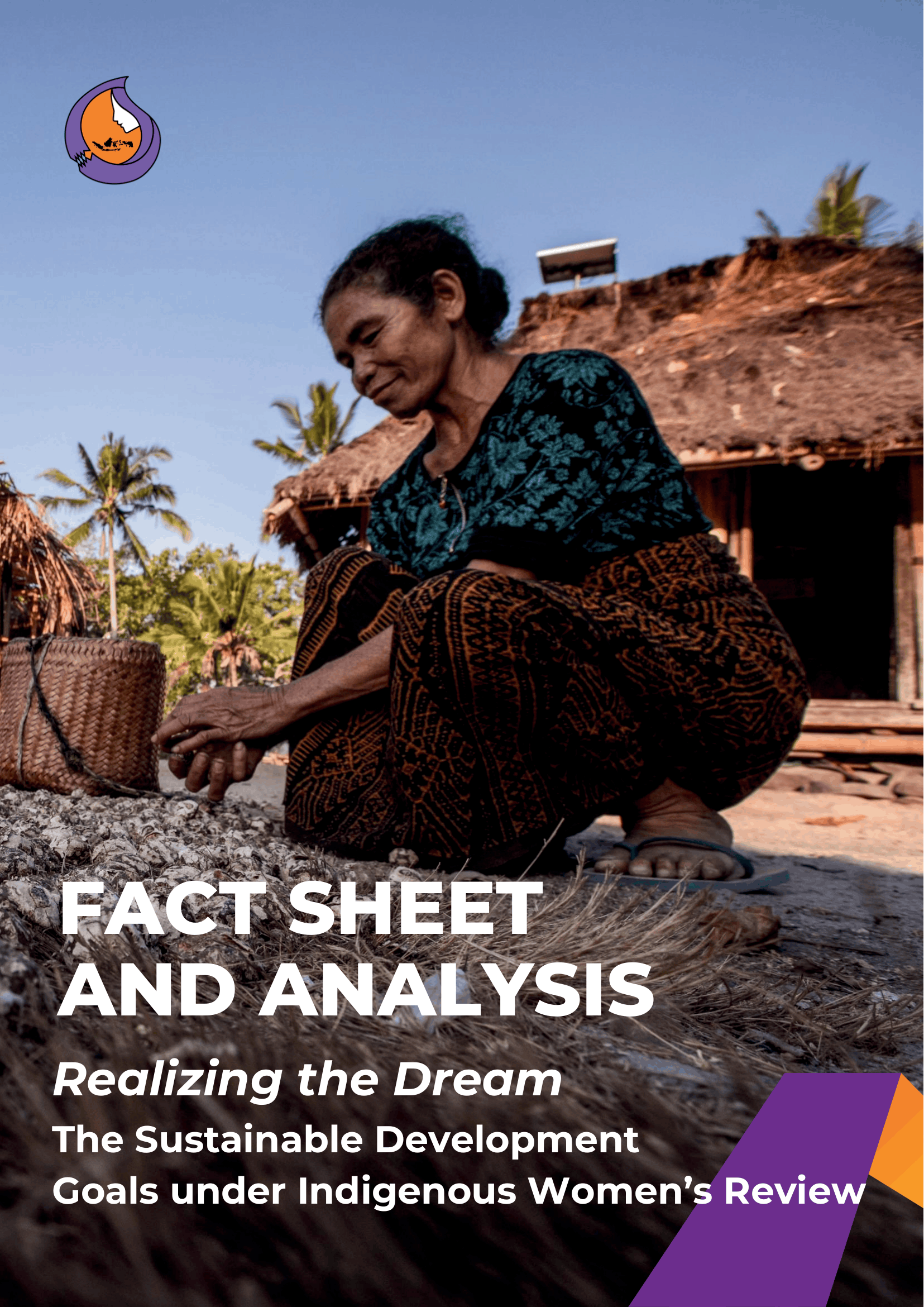 Fact Sheet and Analysis: Realizing the Dream, The Sustainable Development Goals under Indigenous Women’s Review